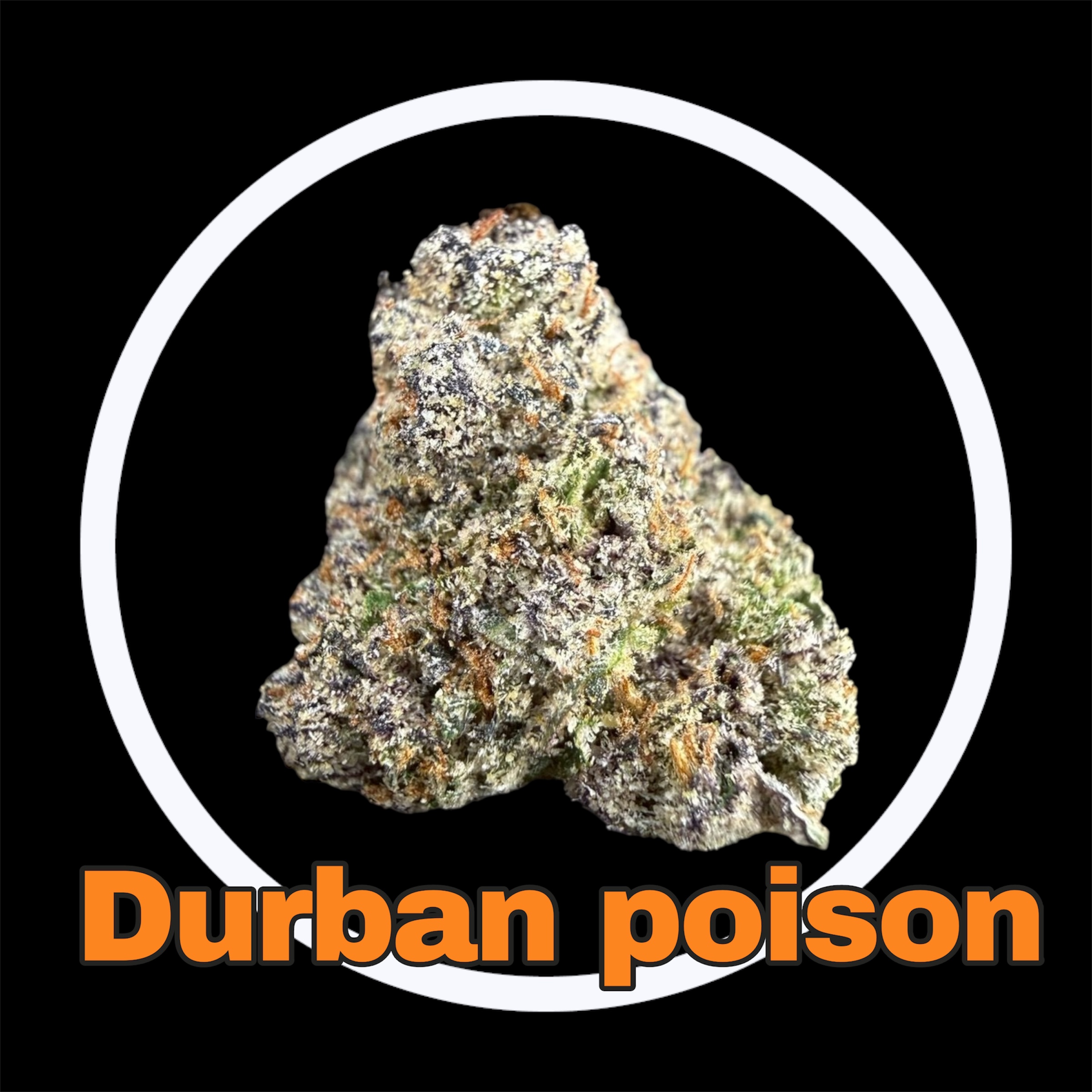 30-03-26 07-08-20pm.jpg